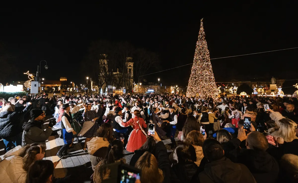 Fotografie din galeria de evenimente din Satu Mare, imaginea 015.
