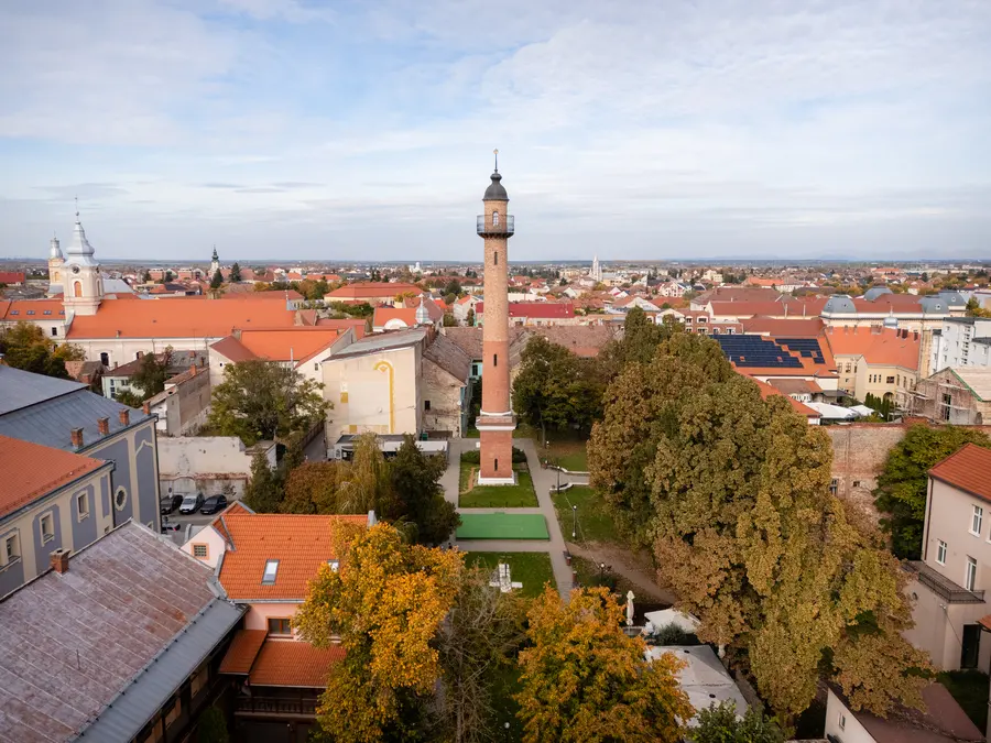 Detaliu istoric din Satu Mare